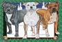 Pipsqueak Productions C512 Holiday Boxed Cards- Staffordshire Bull Terrier