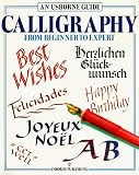 Calligraphy from Beginner to Expert ( An Usborne Guide )