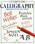 An Usborne Guide Calligraphy: From Beginner to Expert (Usborne Practical Guides)