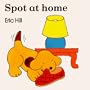 Spot at Home