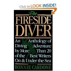 Fireside Diver