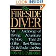 Fireside Diver by Bonnie Cardone