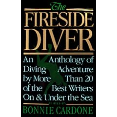 Fireside Diver