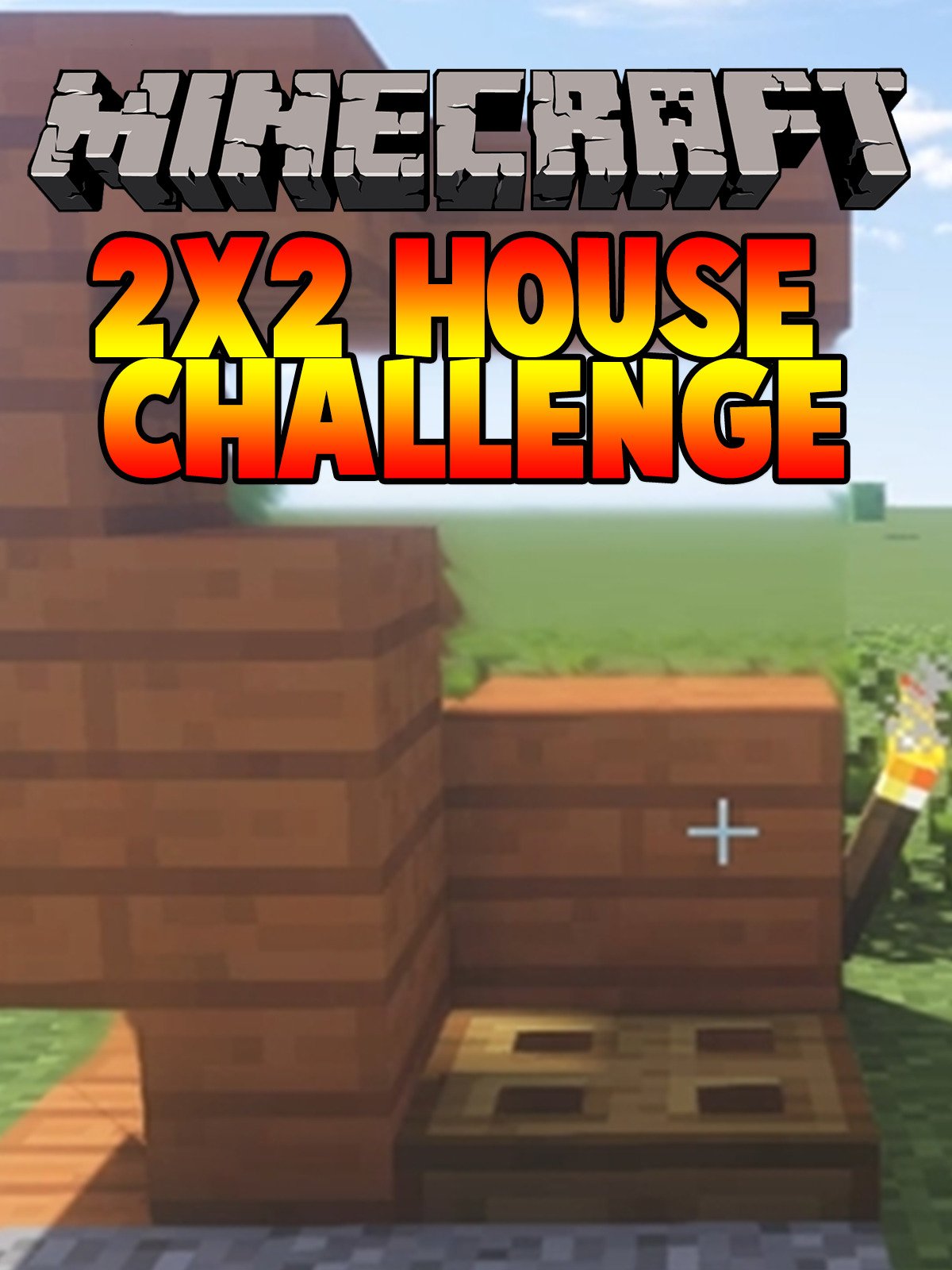 Watch 'Clip Minecraft 2x2 House Challenge' on Amazon Prime Instant
