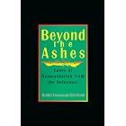 Beyond the Ashes: Cases of Reincarnation from the Holocaust by  Yonassan Gershom