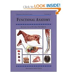 Functional Anatomy (Threshold Picture Guide)