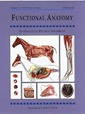 Functional Anatomy (Threshold Picture Guide)