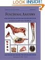 Functional Anatomy