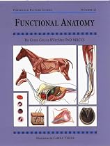 Functional Anatomy (Threshold Picture Guide)