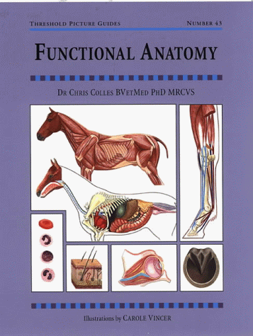 Functional Anatomy (Threshold Picture Guide)