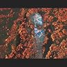 First Contact