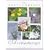 The Encyclopedia of Aromatherapy