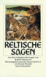 Keltische Sagen (insel taschenbuch)