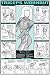 Bruce Algra's Fitnus Charts are world famous for their anatomical detailed and beautiful graphics! Triceps Workout includes eight detailed exercises illustrating the beginning and intermediate positions that target the triceps muscle for men and women. An incredible center illustration highlights the triceps muscle.