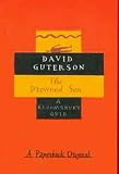 Drowned Son (Bloomsbury Birthday Quids)