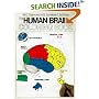 The Human Brain Coloring Book (Cos, 306)