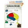 The Human Brain Coloring Book (Cos, 306)