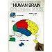 The Human Brain Colouring Book (Coloring Concepts Series)