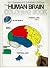 The Human Brain Coloring Book (Cos, 306)