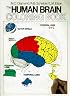 The Human Brain Coloring Book (Cos, 306)