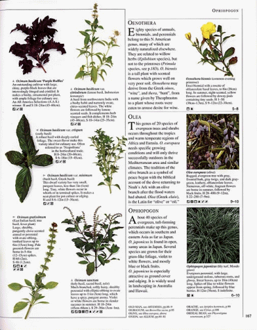 Encyclopedia of Herbs and Their Uses: The Definitive Reference Work for Every Herb Enthusiast
