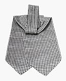 Men's Ascots and Cravats