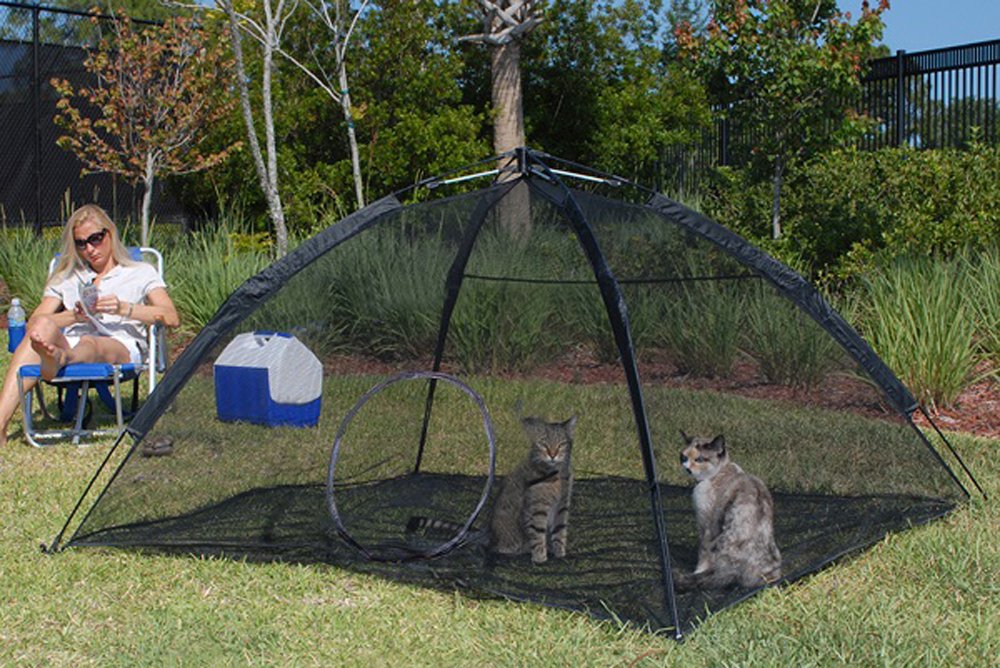 Amazon.com : ABO Gear Happy Habitat for Indoor Cats : Outdoor Pet ... Amazon.com : ABO Gear Happy Habitat for Indoor Cats : Outdoor Pet ...