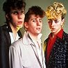Image of Stray Cats