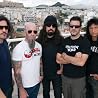 Image of Anthrax