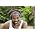 Vignette de Ziggy Marley
