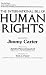 Book The International Bill of Human Rights