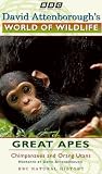 Picture Of David Attenborough's World Of Wildlife 2 - Great Apes