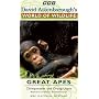 David Attenborough's World Of Wildlife 2 - Great Apes