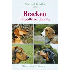 Bracken im jagdlichen Einsatz