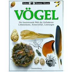 V�gel. Die faszinierende Welt der Gefiederten - Lebensr�ume, Artenvielfalt, Leistungen