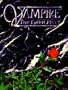 Vampire: The Dark Ages