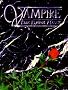 Vampire, The Dark Ages