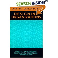 Designing Organizations: An Executive Briefing on Strategy, Structure and Process (Jossey-Bass Management Series)