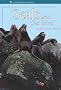 Seals and Sea Lions