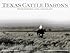 Texas Cattle Barons: Their Families, Land & Legacy