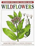 Peterson First Guide to Wildflowers: Of Northeastern and North-Central North America (Peterson First Guides)
