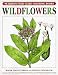 Book Wildflowers (Peterson Field Guide Coloring Books)