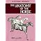 Learn to Care for and Begin to Train Your Horse