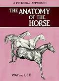 Anatomy of the Horse