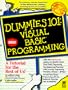 Visual Basic Programming (Dummies 101 Series)