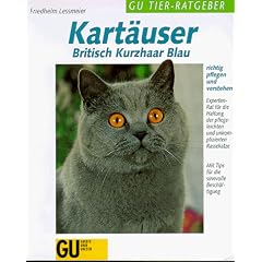 Kart�user, Britisch Kurzhaar Blau richtig pflegen und verstehen