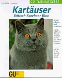 Kart�user, Britisch Kurzhaar Blau richtig pflegen und verstehen