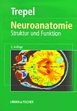 Neuroanatomie - Struktur und Funktion - Martin Trepel