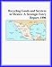 Book Recycling Goods and Services in Mexico: A Strategic Entry Report, 1996 (Strategic Planning Series)