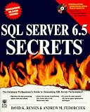 SQL Server 6.5 Secrets (The Secrets Series)